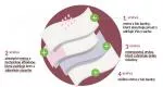 Organyc Menstruationstrusser i økologisk bomuld - ultraabsorberende L