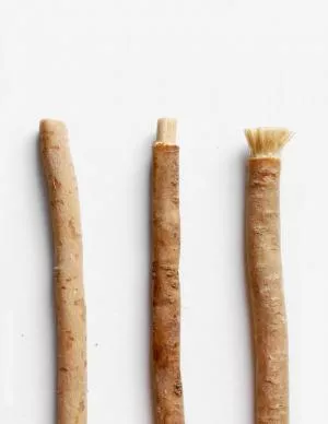 Yoni Naturlig tandbørste fra Salvadora persica (separat)