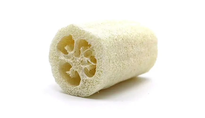 Praktisk luffa svamp - et naturligt alternativ til plastik