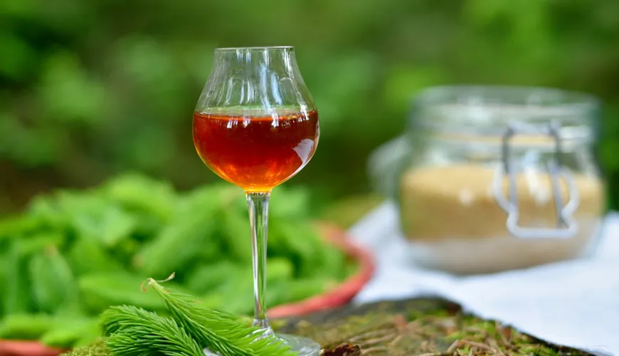 Sirup af nåletræer - opdag skovens kraft for dit helbred