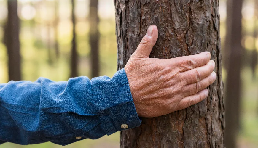 Beviste råd til at fjerne harpiks fra tekstiler