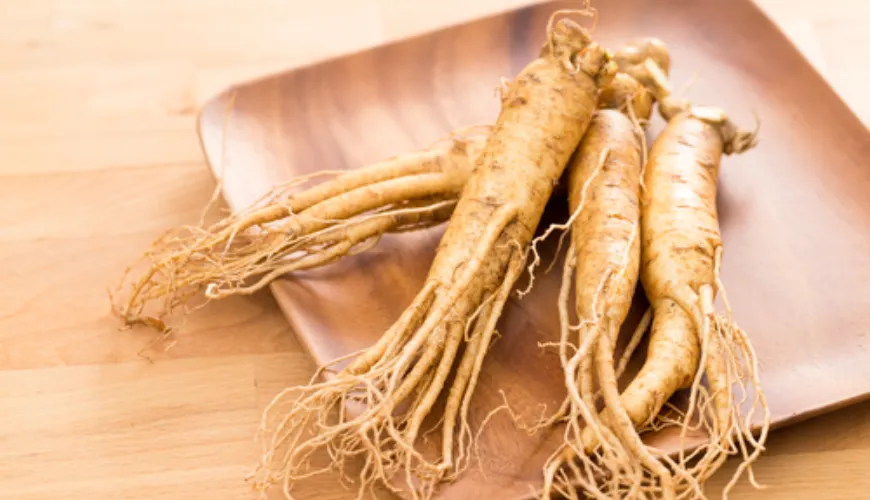 Hvilken ginseng giver dig energi og forbedrer din ydeevne?